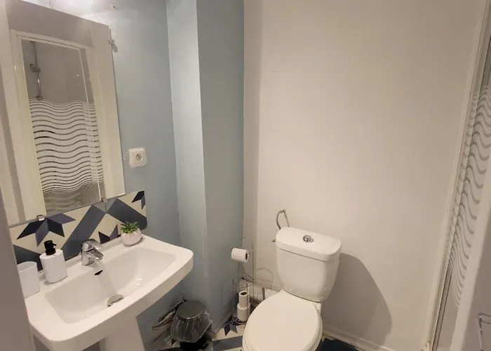 Lumineuse Avec Balcon - Cuisine Partagee & Salle De Bain Privative * Lourdes