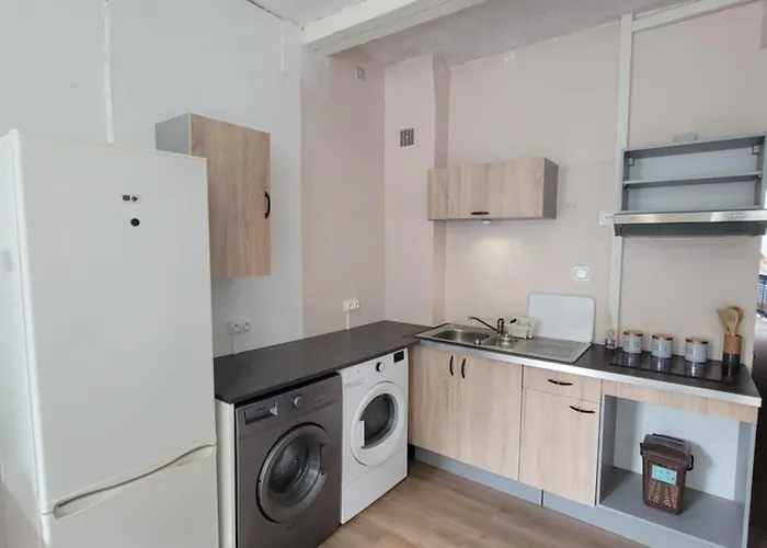 Lumineuse Avec Balcon - Cuisine Partagee & Salle De Bain Privative *